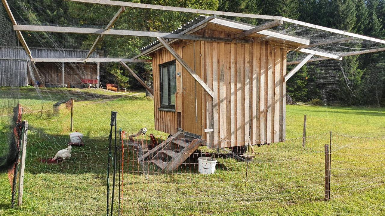 Ferienhaus Buxbaum Arbesbach Zewnętrze zdjęcie