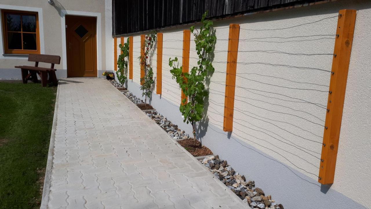 Ferienhaus Buxbaum Arbesbach Zewnętrze zdjęcie