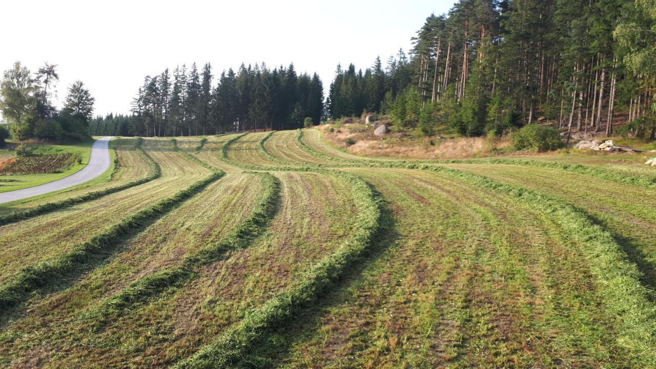Ferienhaus Buxbaum Arbesbach Zewnętrze zdjęcie