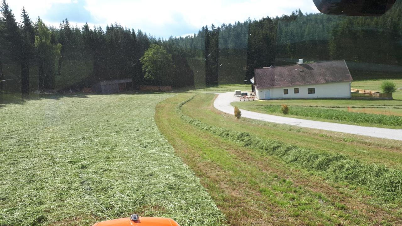 Ferienhaus Buxbaum Arbesbach Zewnętrze zdjęcie